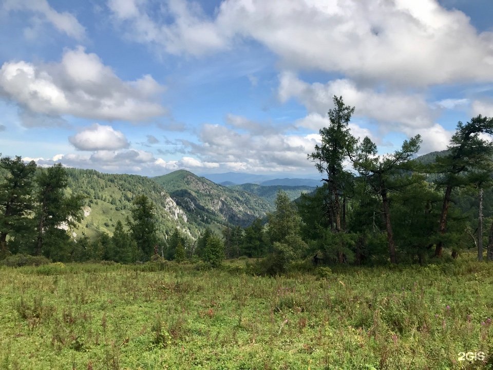 Чедоев Привал - фото 47