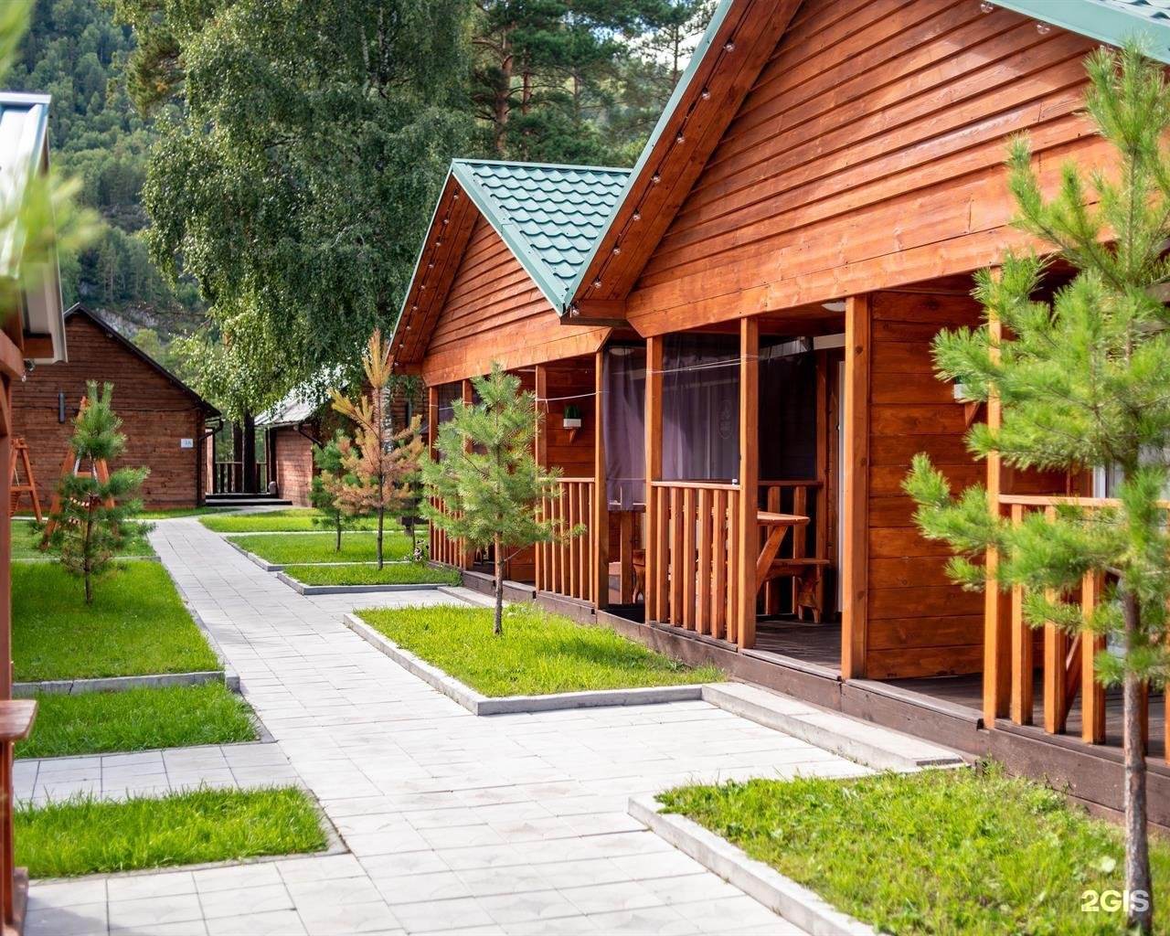 Алтай берег - фото 7