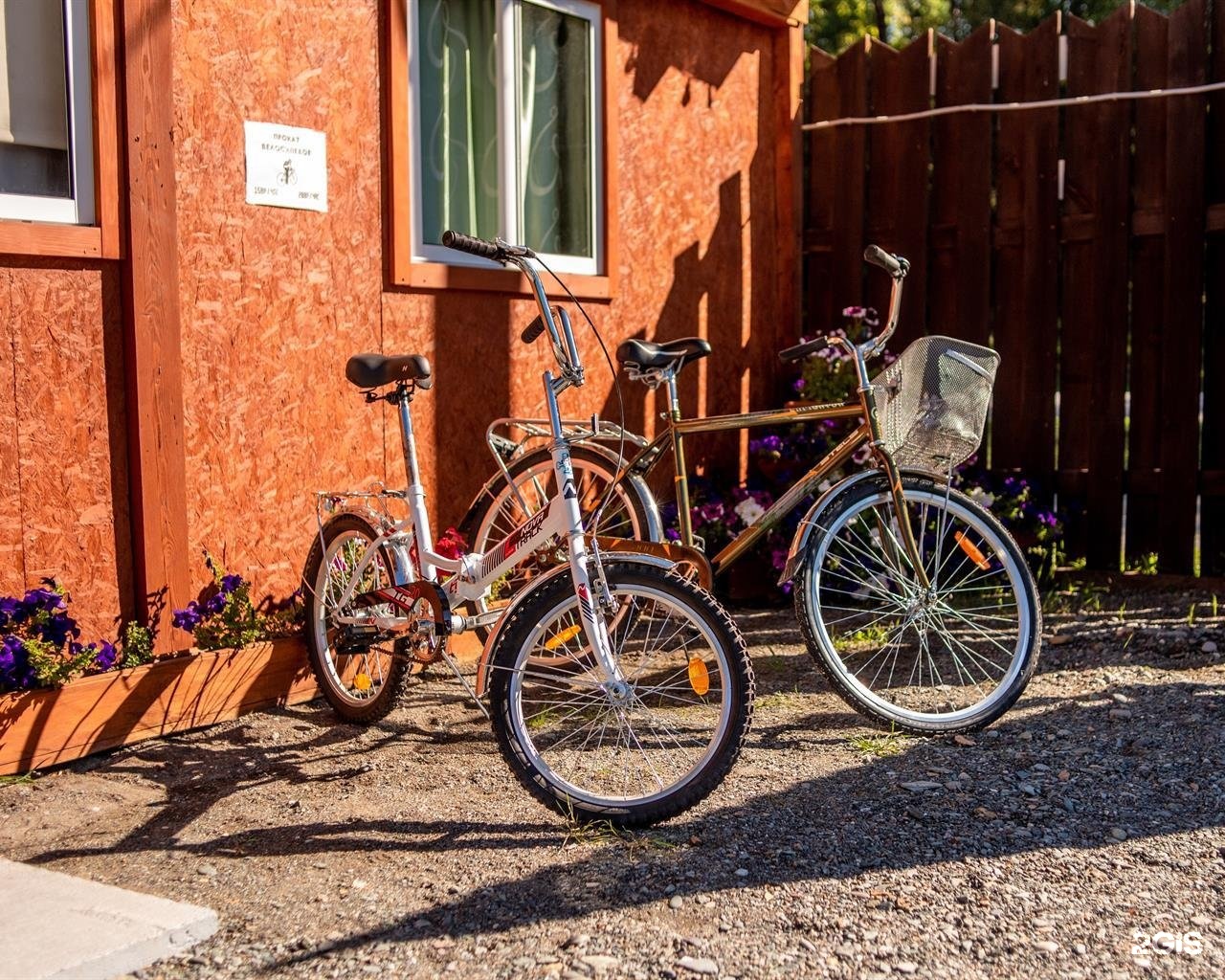 Алтай берег - фото 8