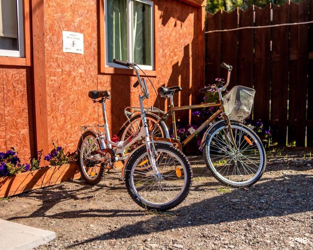 Алтай берег - фото 8