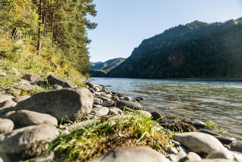 Алтай берег - фото 10