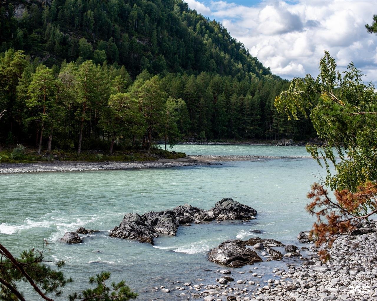 Алтай берег - фото 26