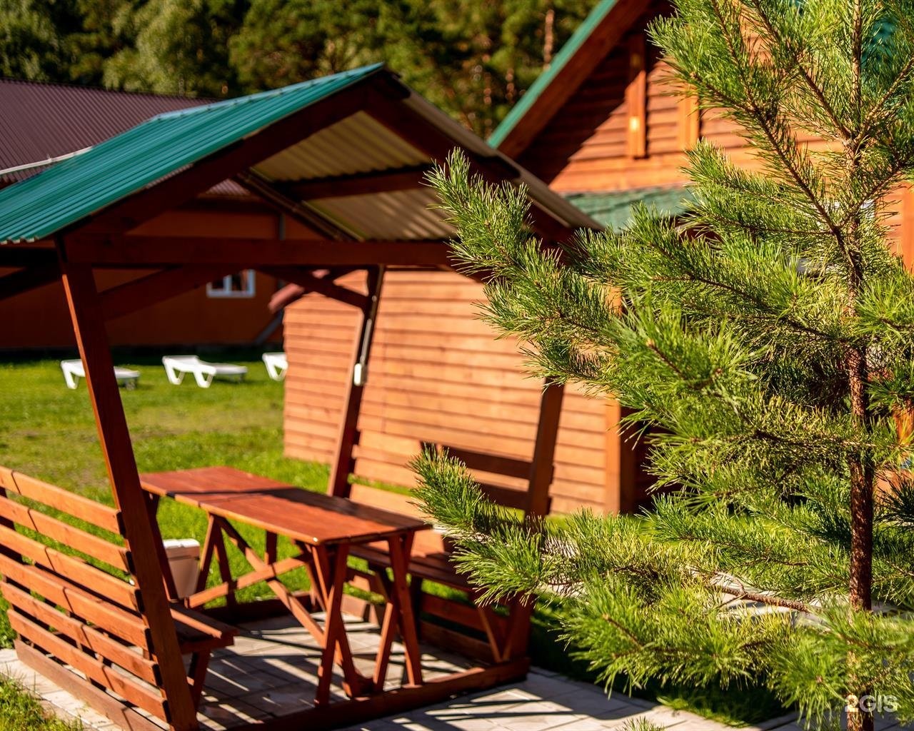 Алтай берег - фото 27