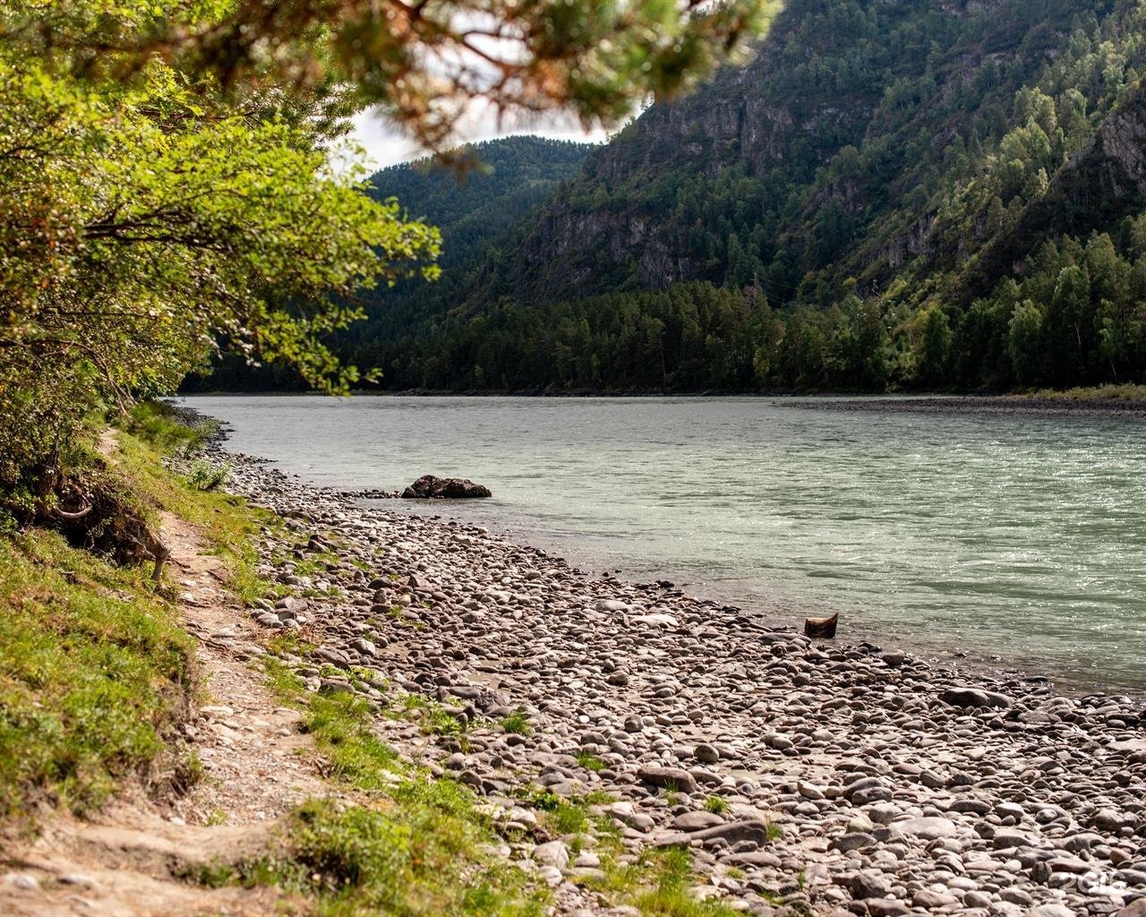 Алтай берег - фото 32