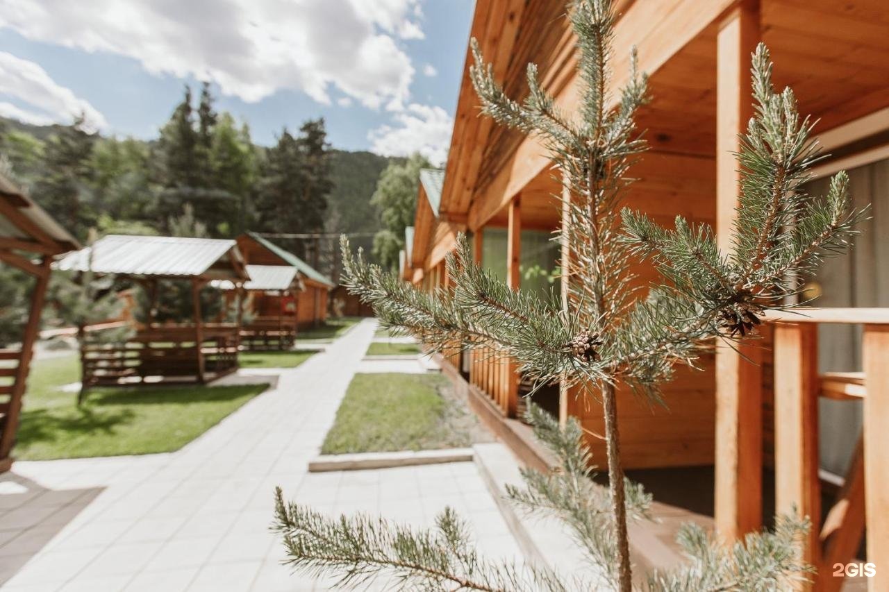 Алтай берег - фото 35