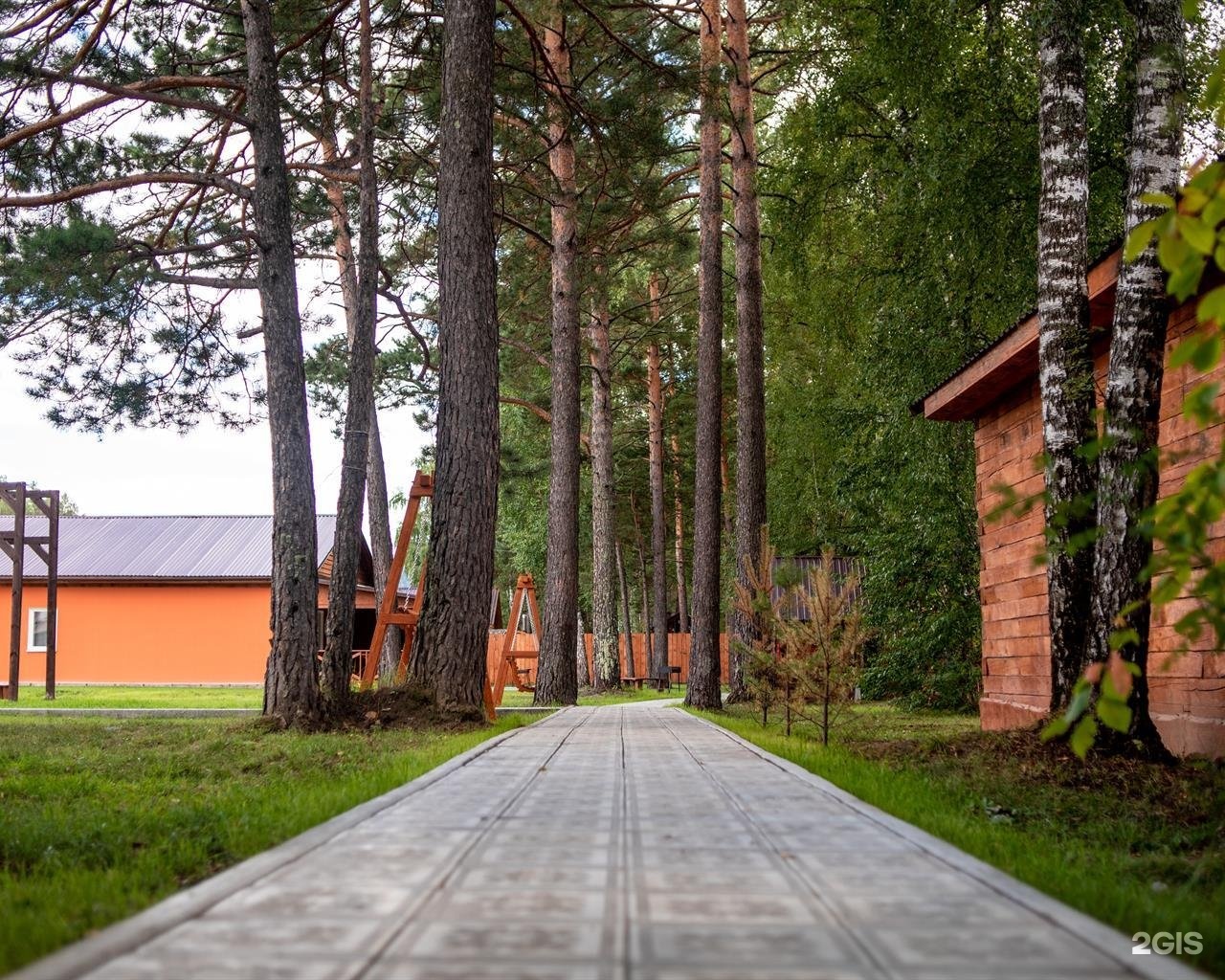 Алтай берег - фото 43
