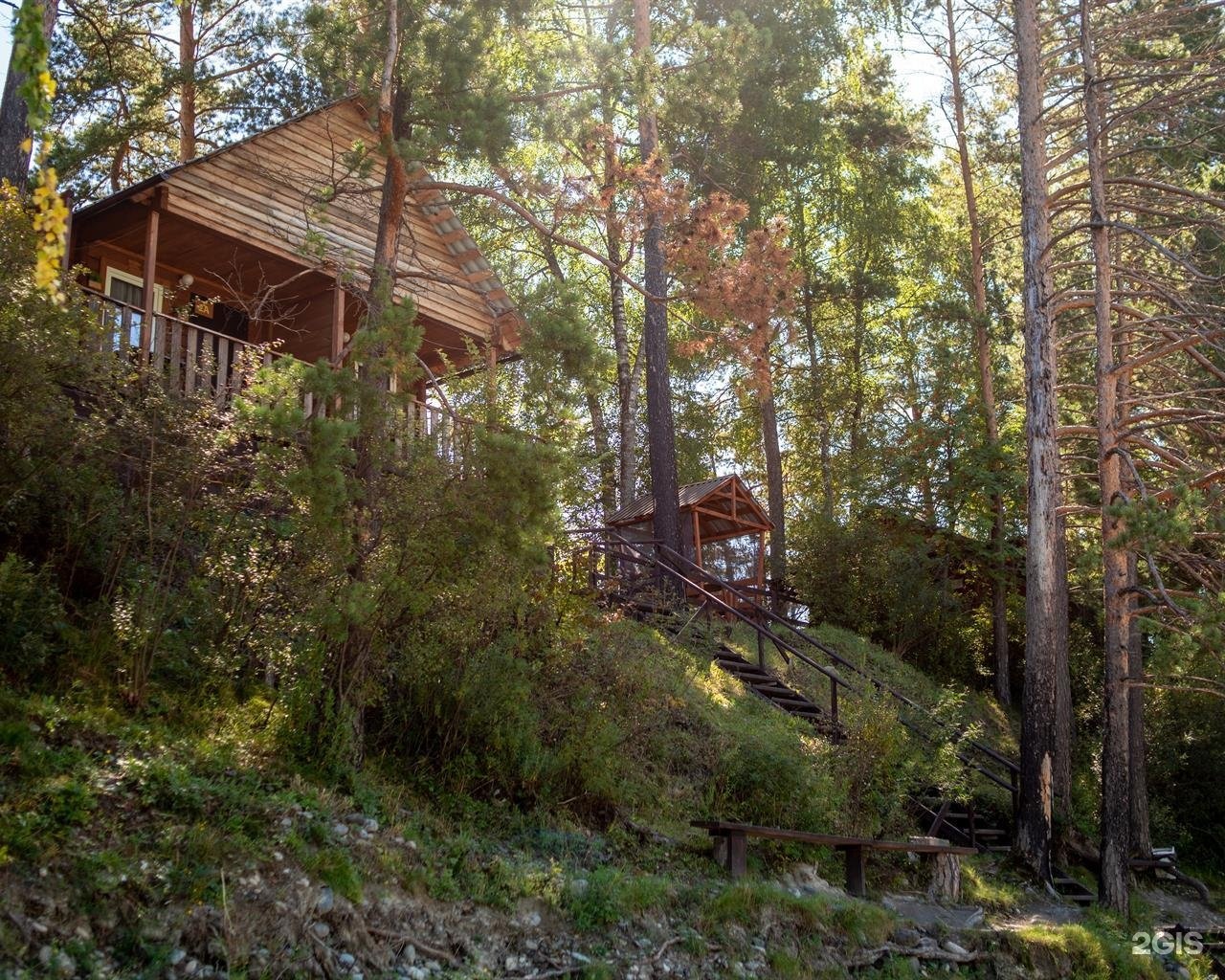 Алтай берег - фото 48