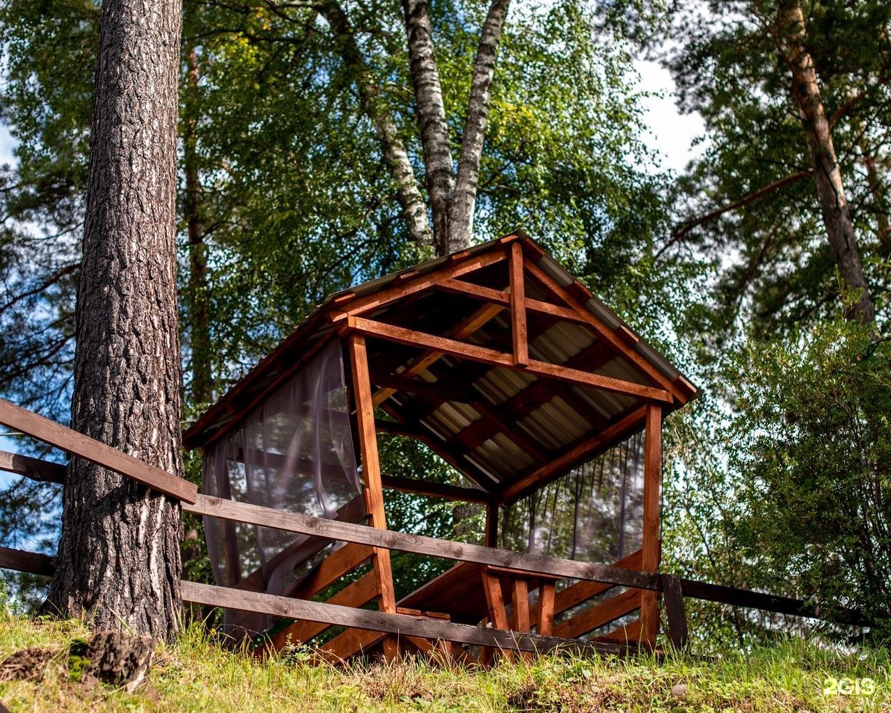 Алтай берег - фото 53