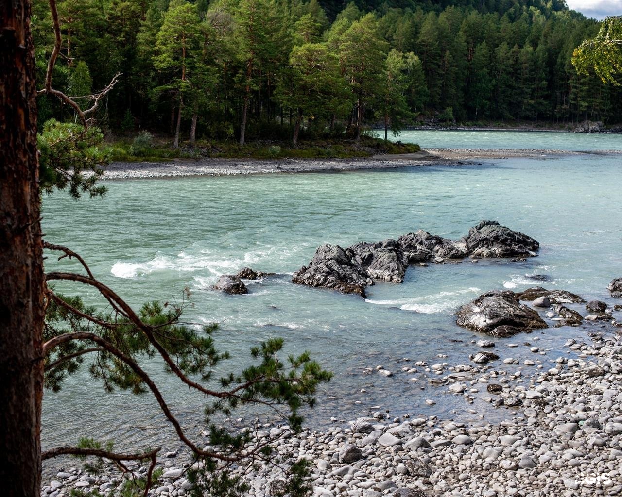 Алтай берег - фото 61