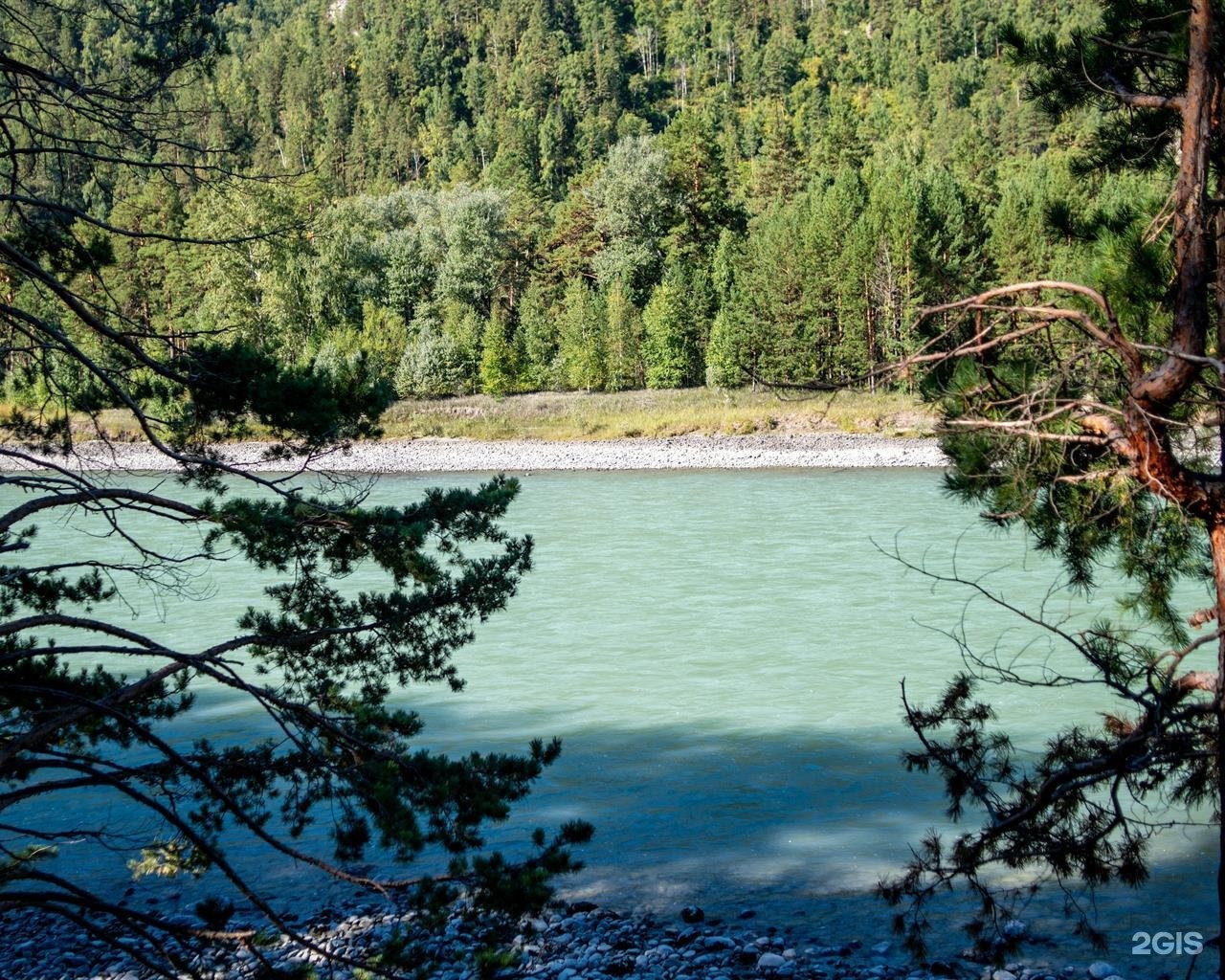 Алтай берег - фото 63