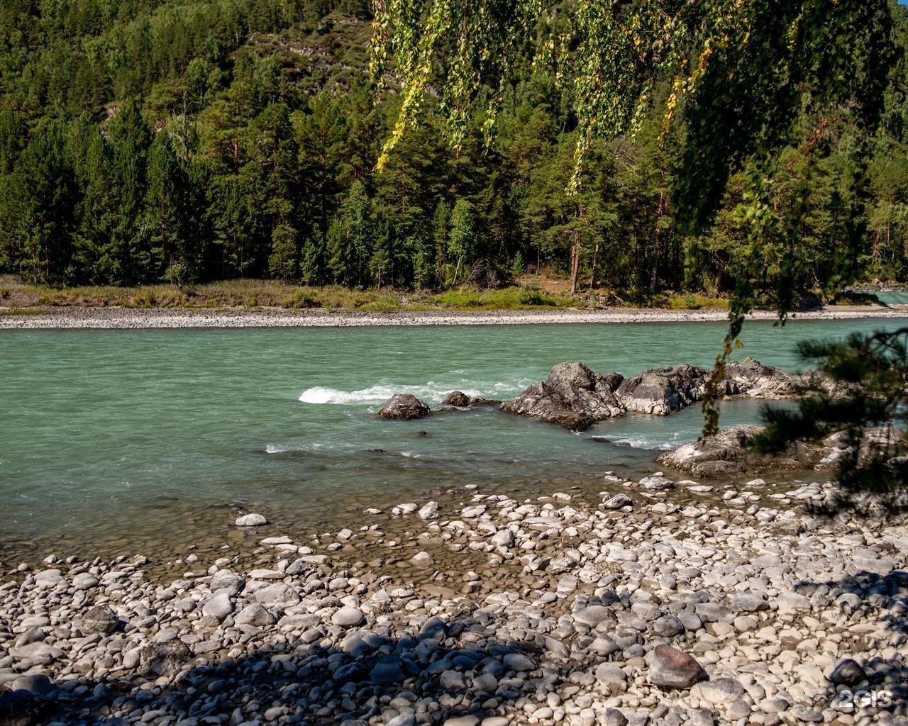 Алтай берег - фото 68
