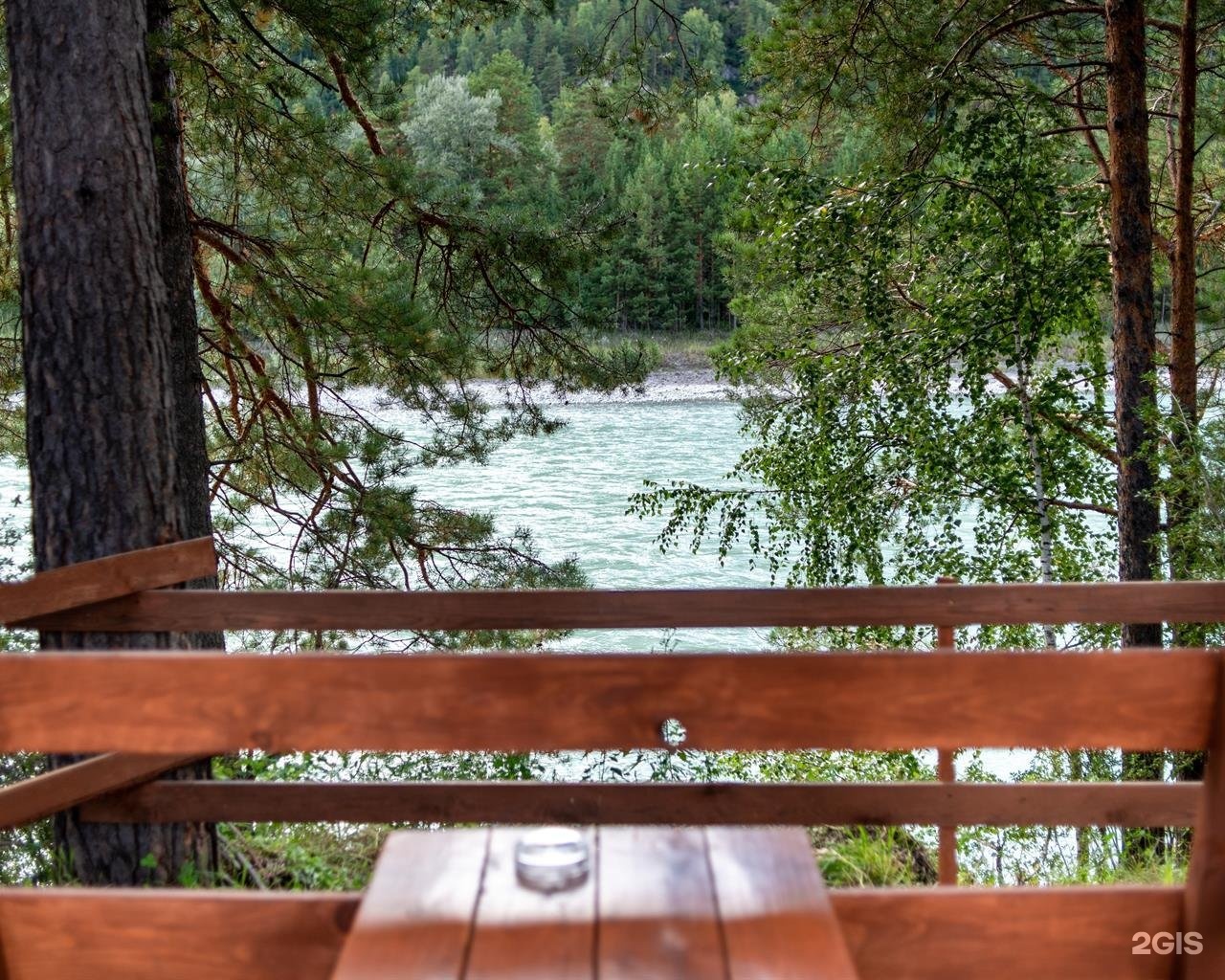 Алтай берег - фото 75