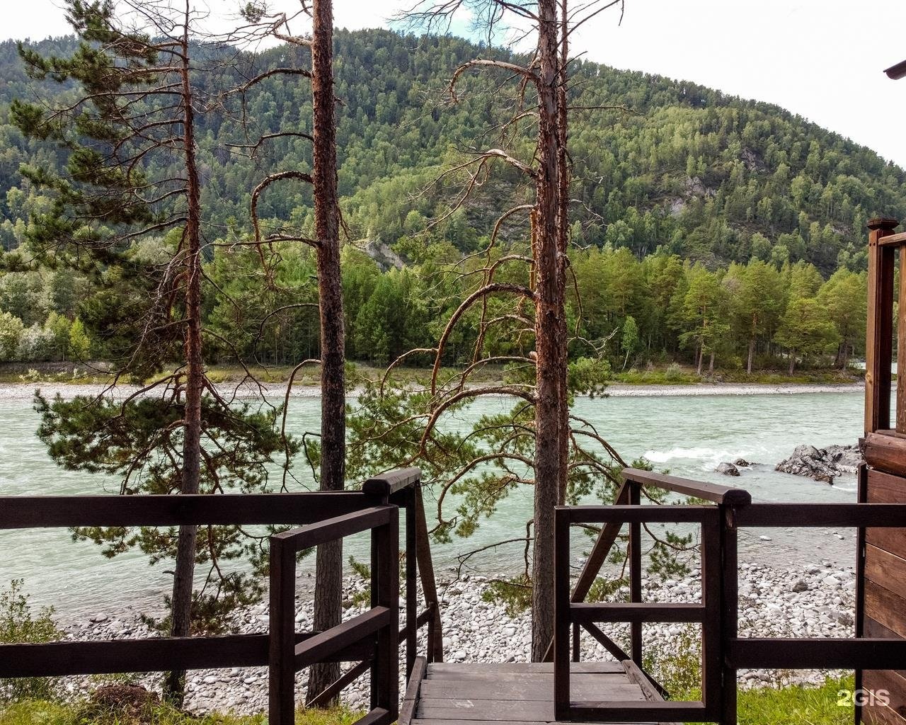 Алтай берег - фото 79