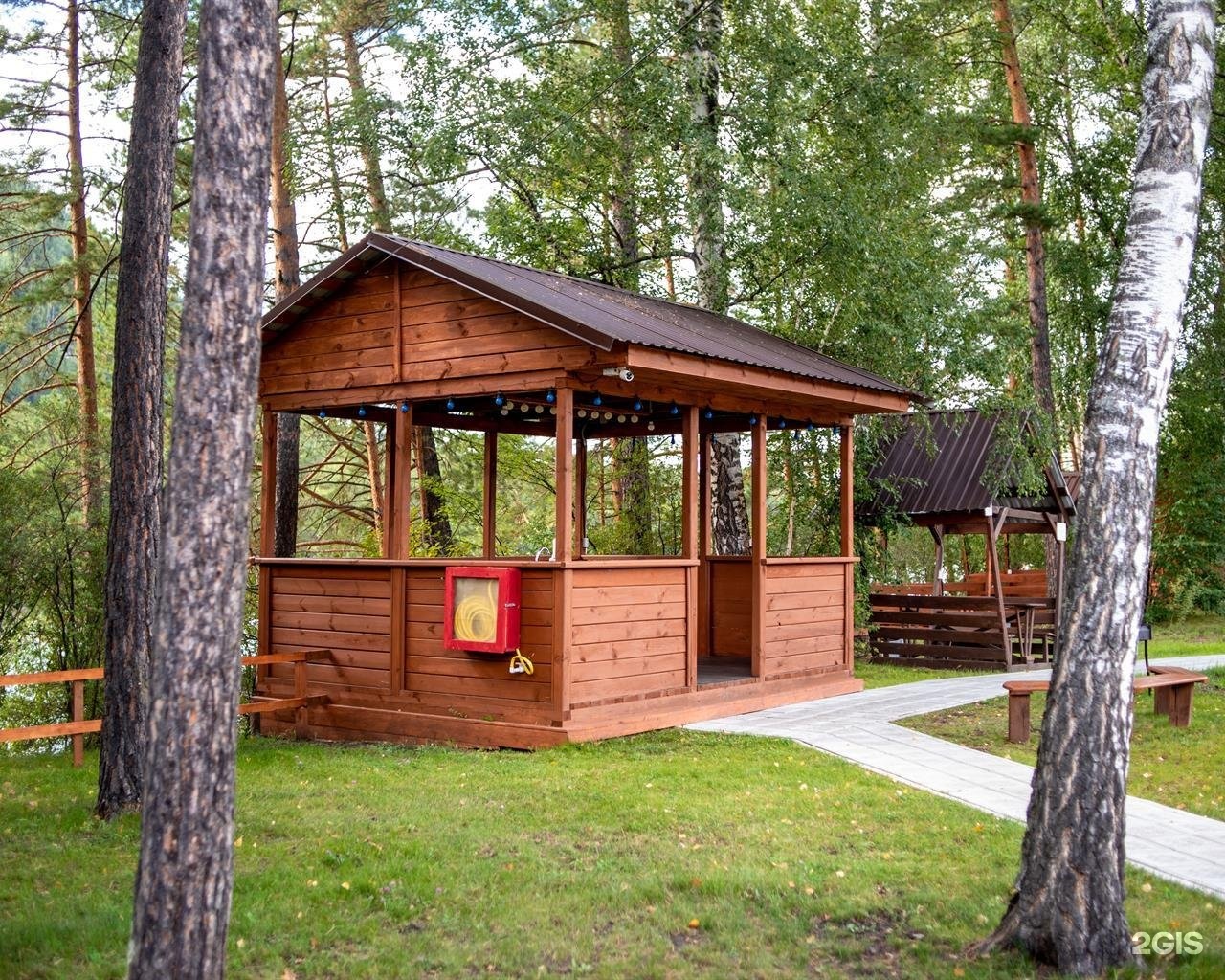 Алтай берег - фото 83