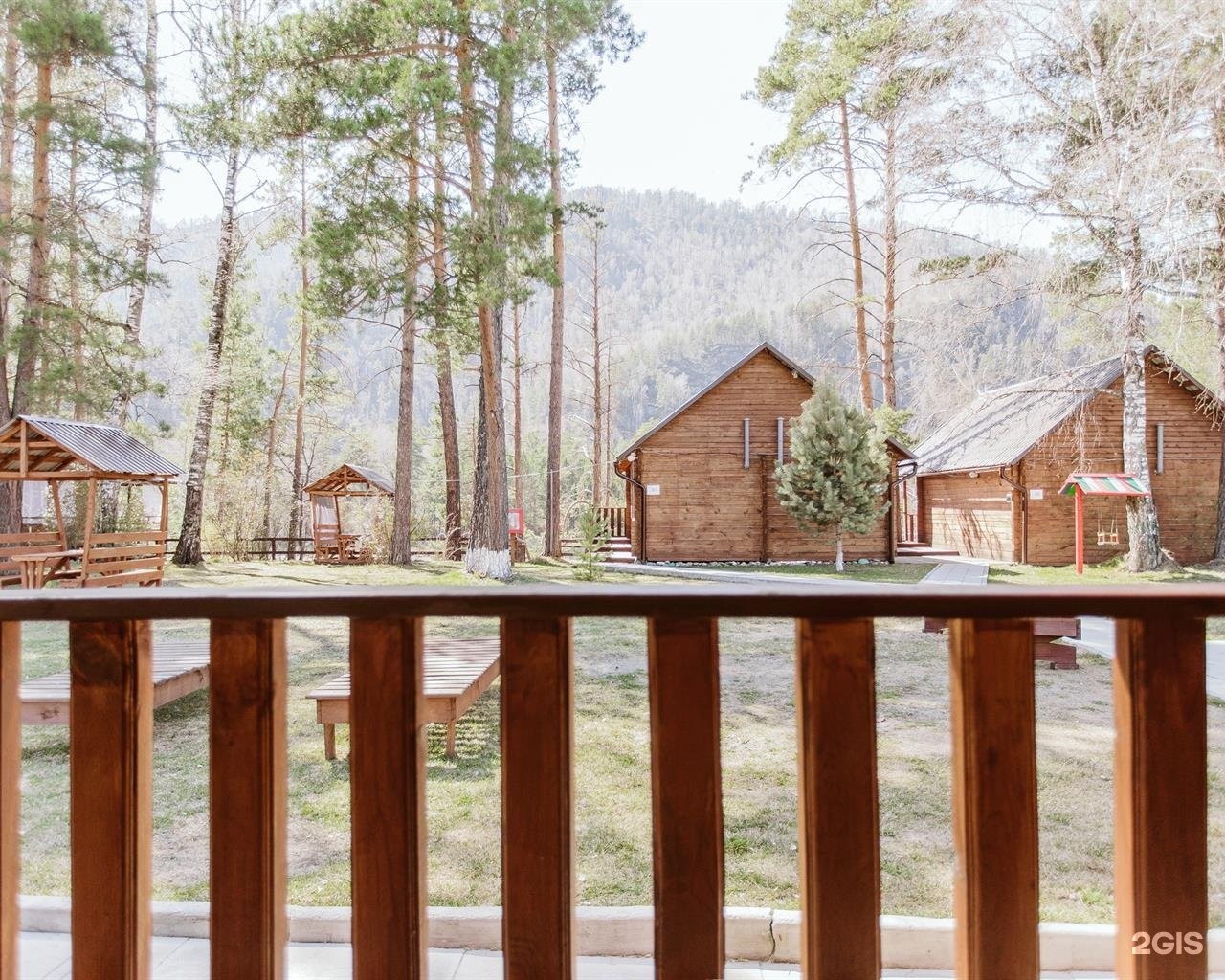 Алтай берег - фото 88