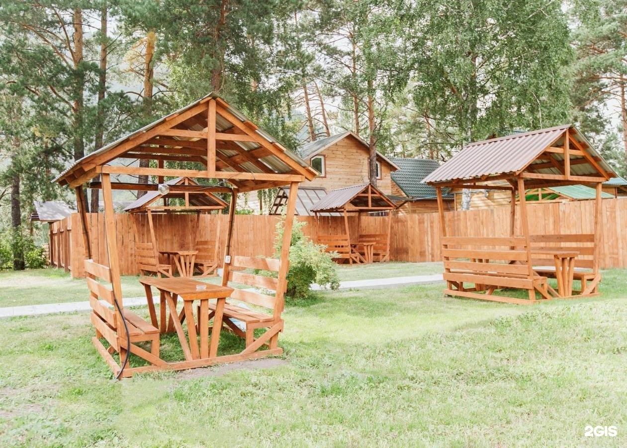 Алтай берег - фото 95