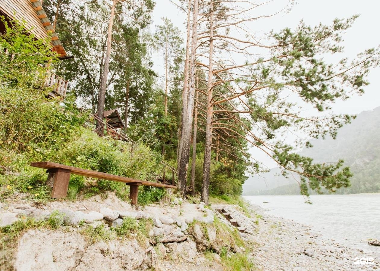 Алтай берег - фото 96