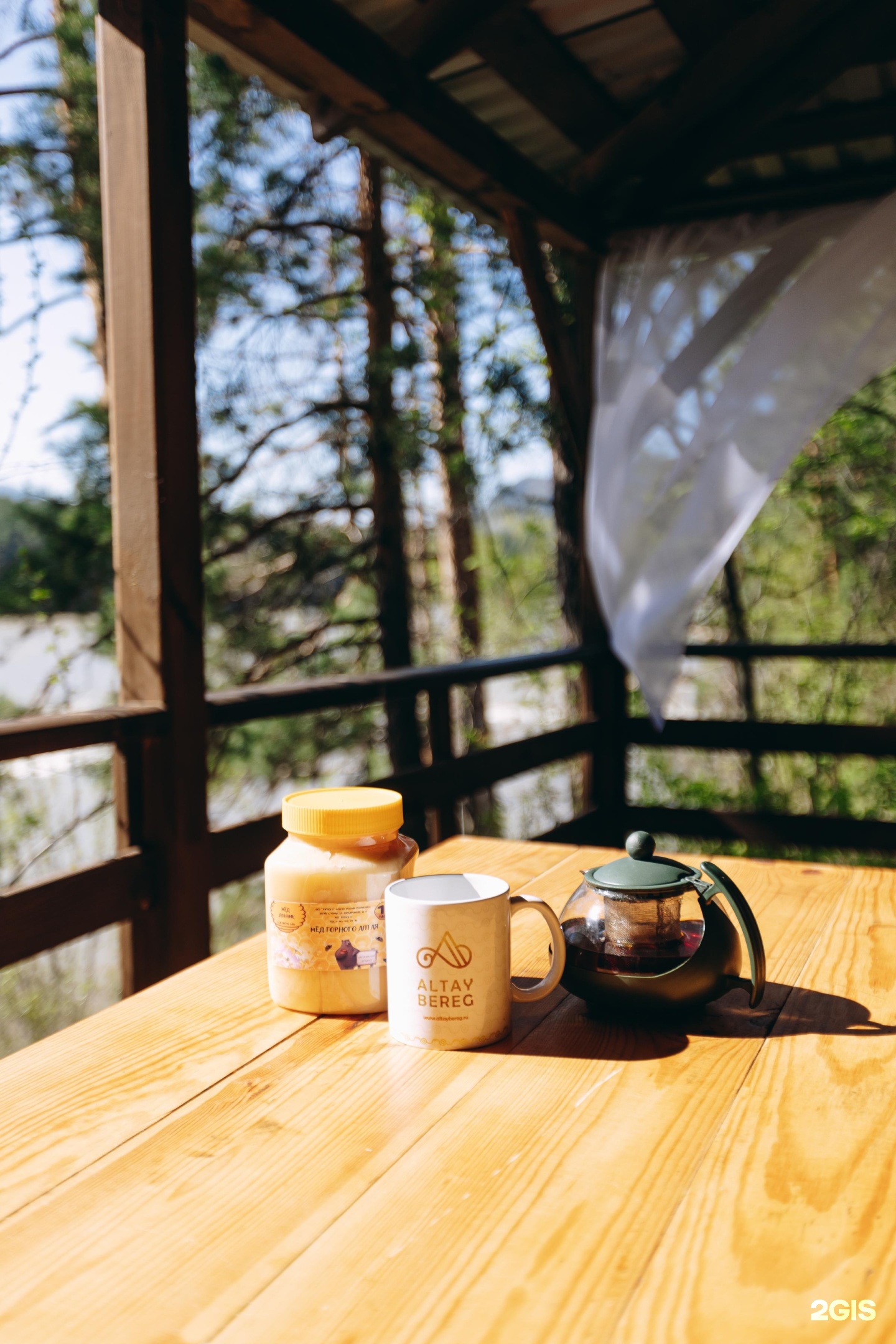 Алтай берег - фото 99