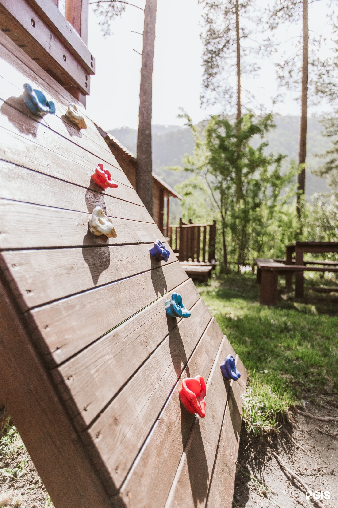 Алтай берег - фото 106