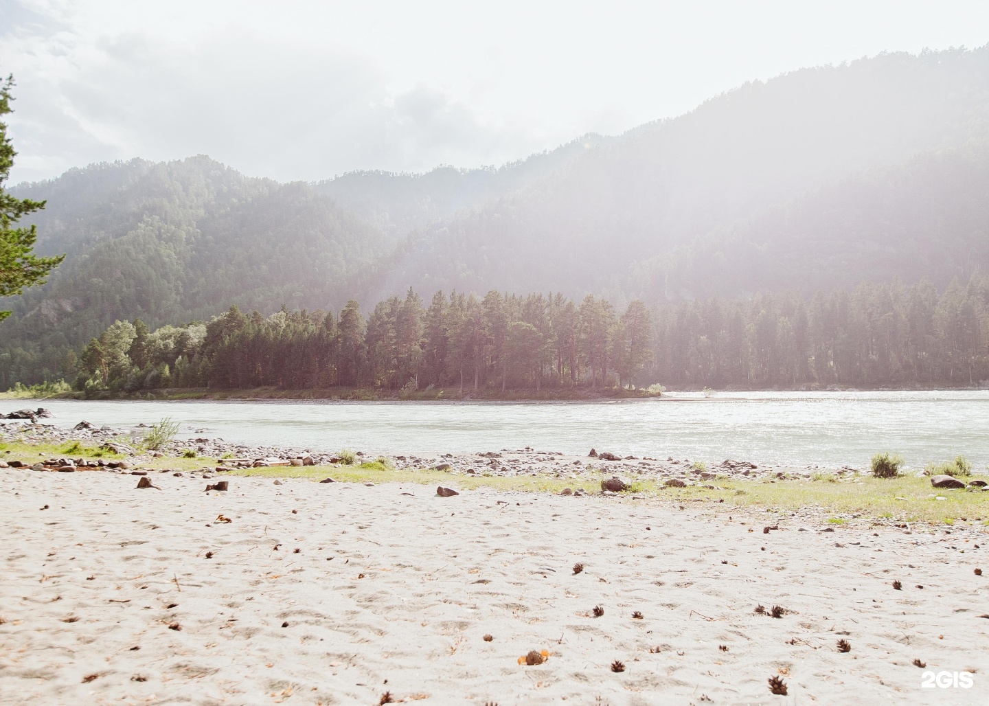 Алтай берег - фото 109