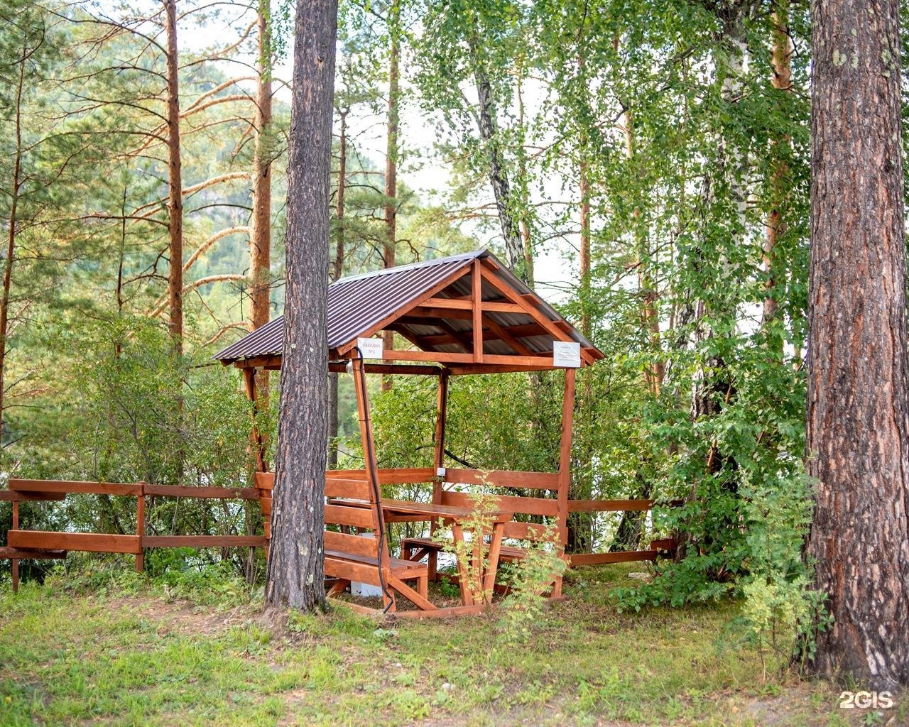 Алтай берег - фото 118