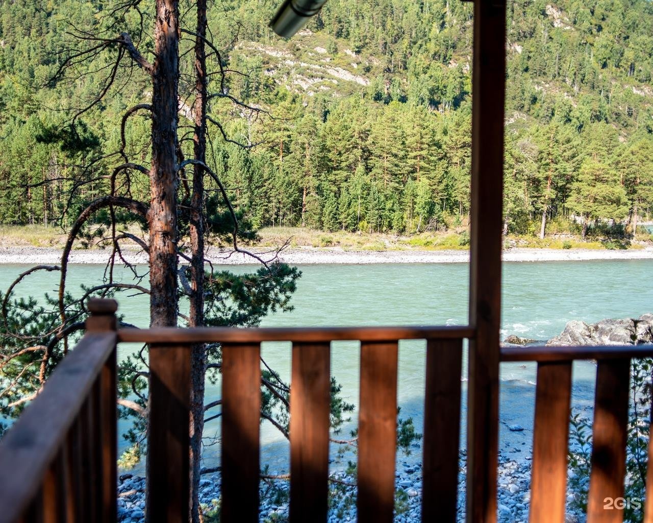 Алтай берег - фото 121