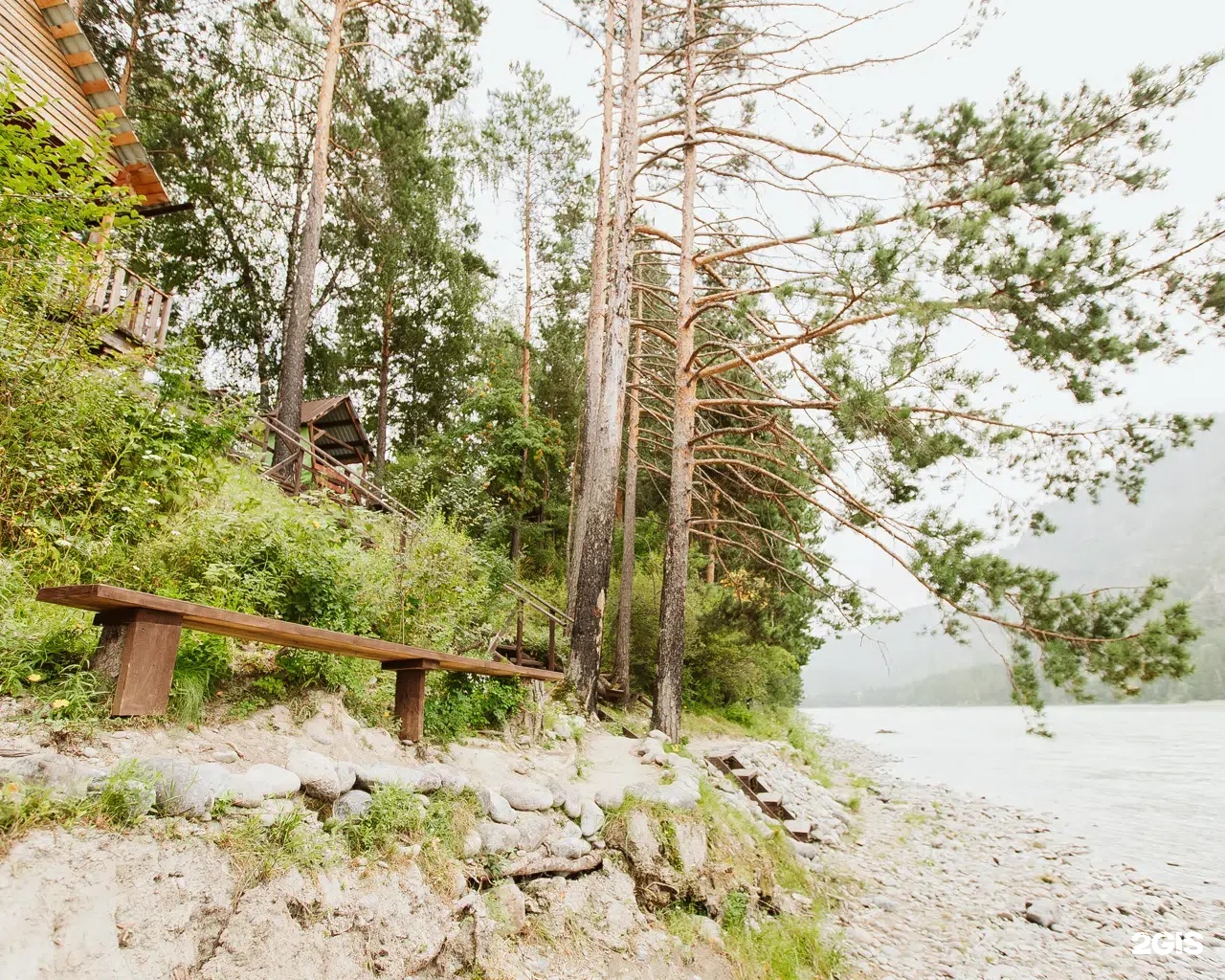 Алтай берег - фото 135