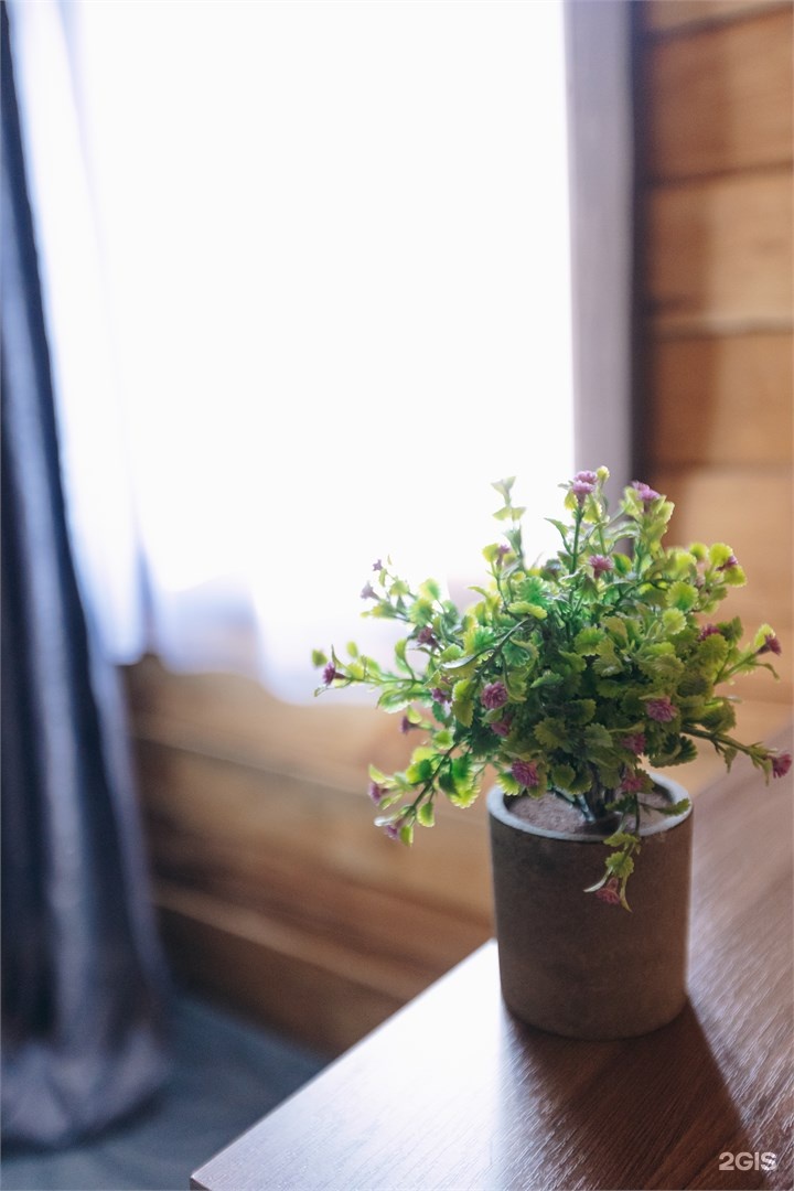 Апартаменты Катунь - фото 20