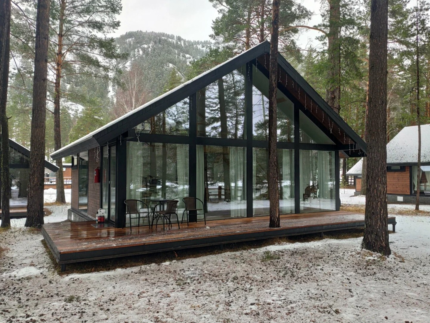 Шелест - фото 2