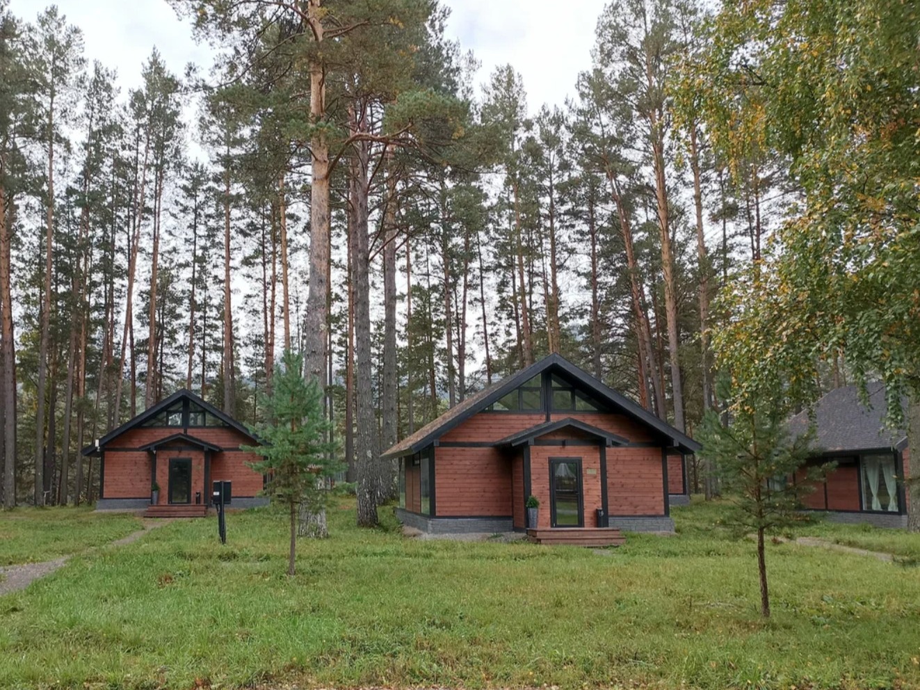 Шелест - фото 3