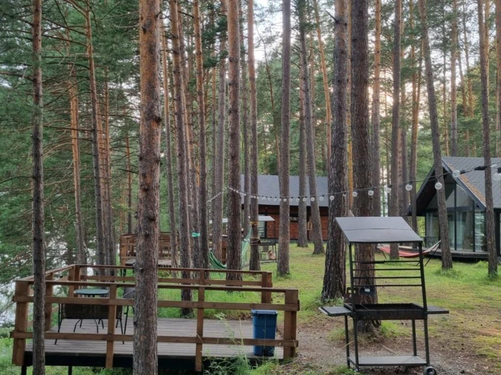 Шелест - фото 5