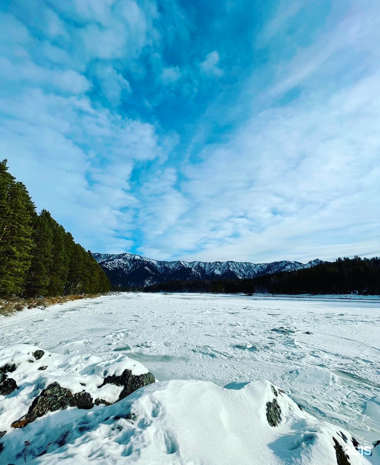 Шелест - фото 11