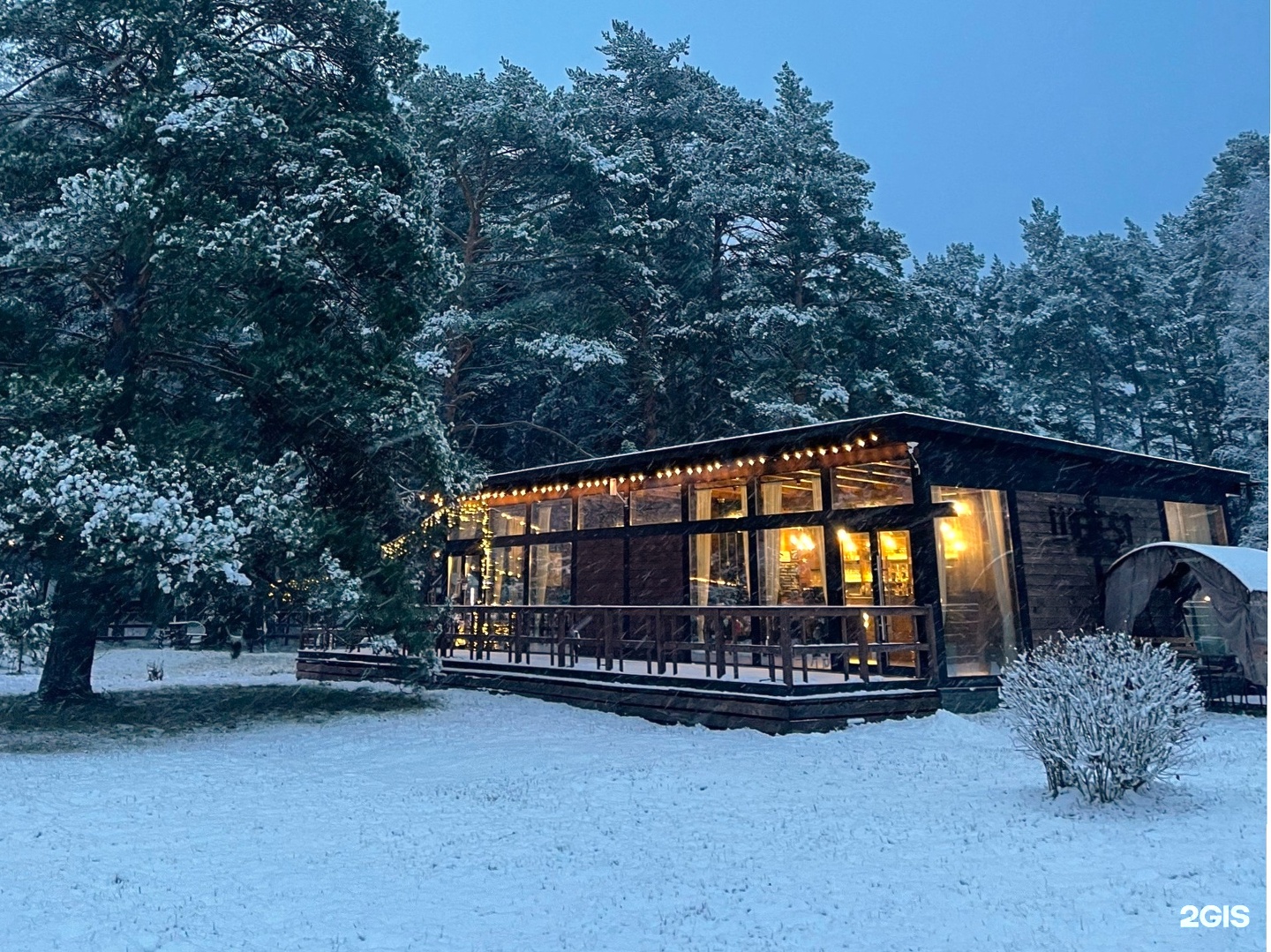 Шелест - фото 16