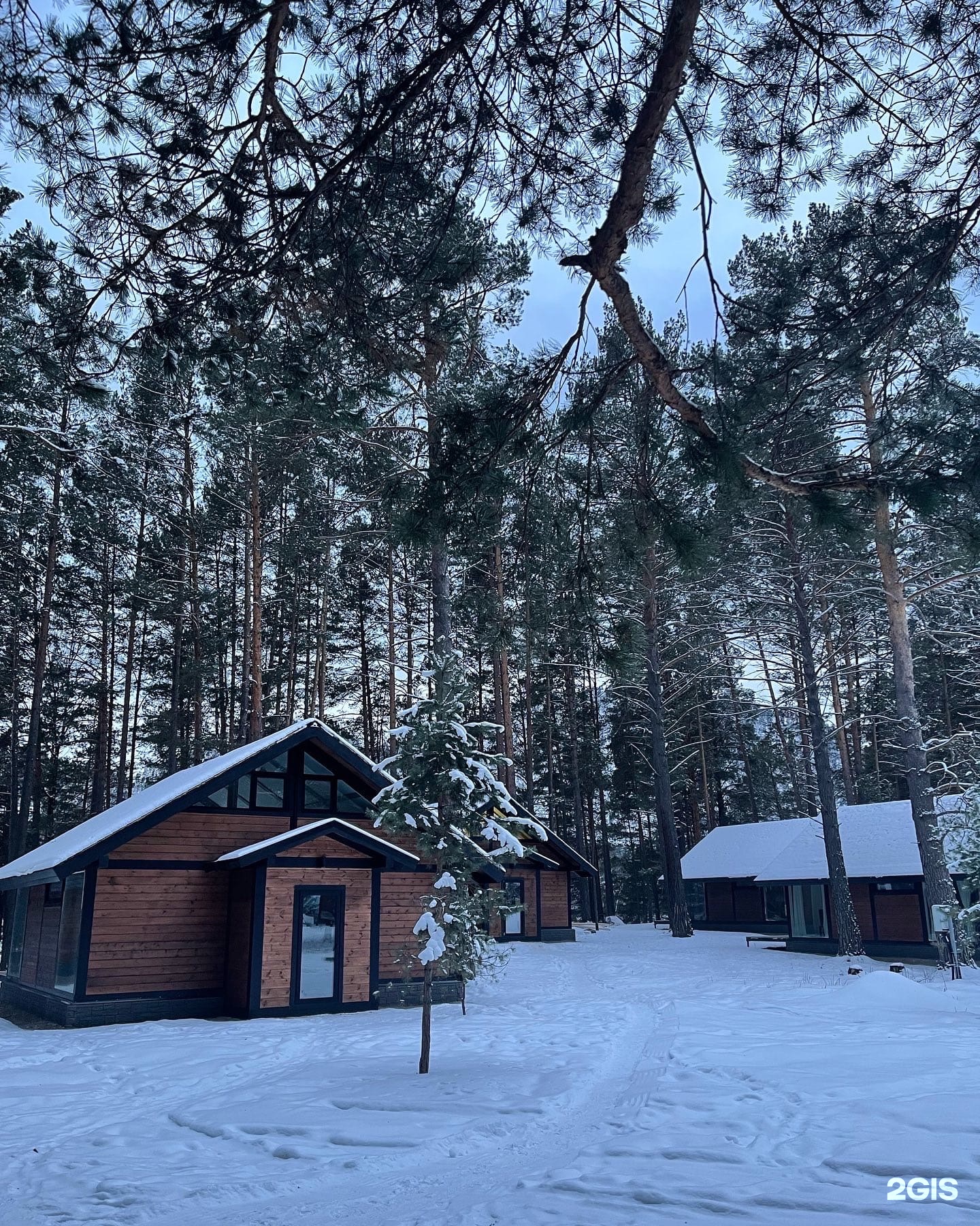 Шелест - фото 17