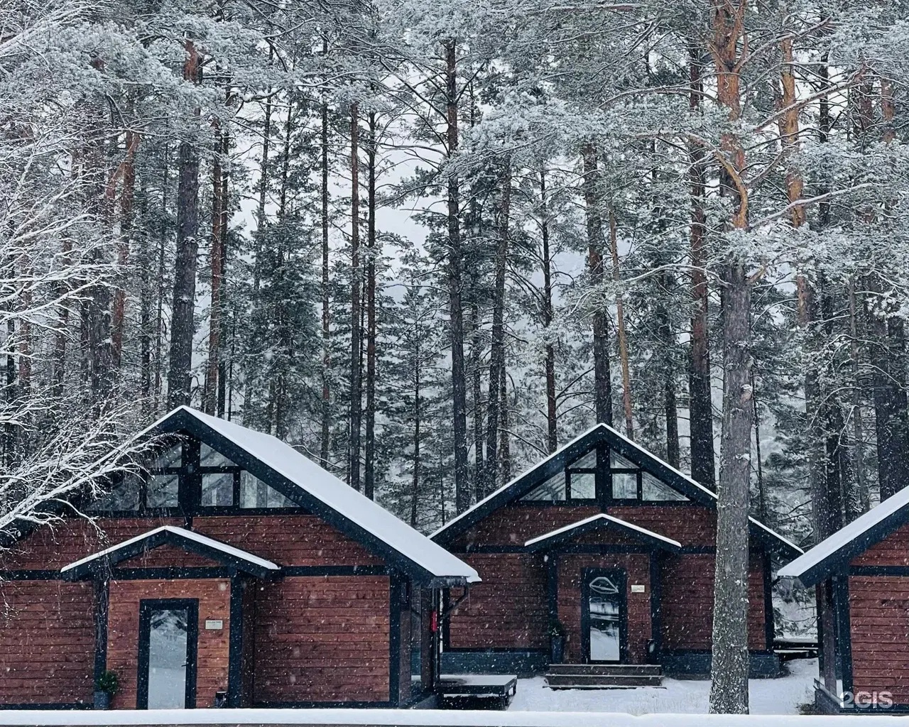 Шелест - фото 18