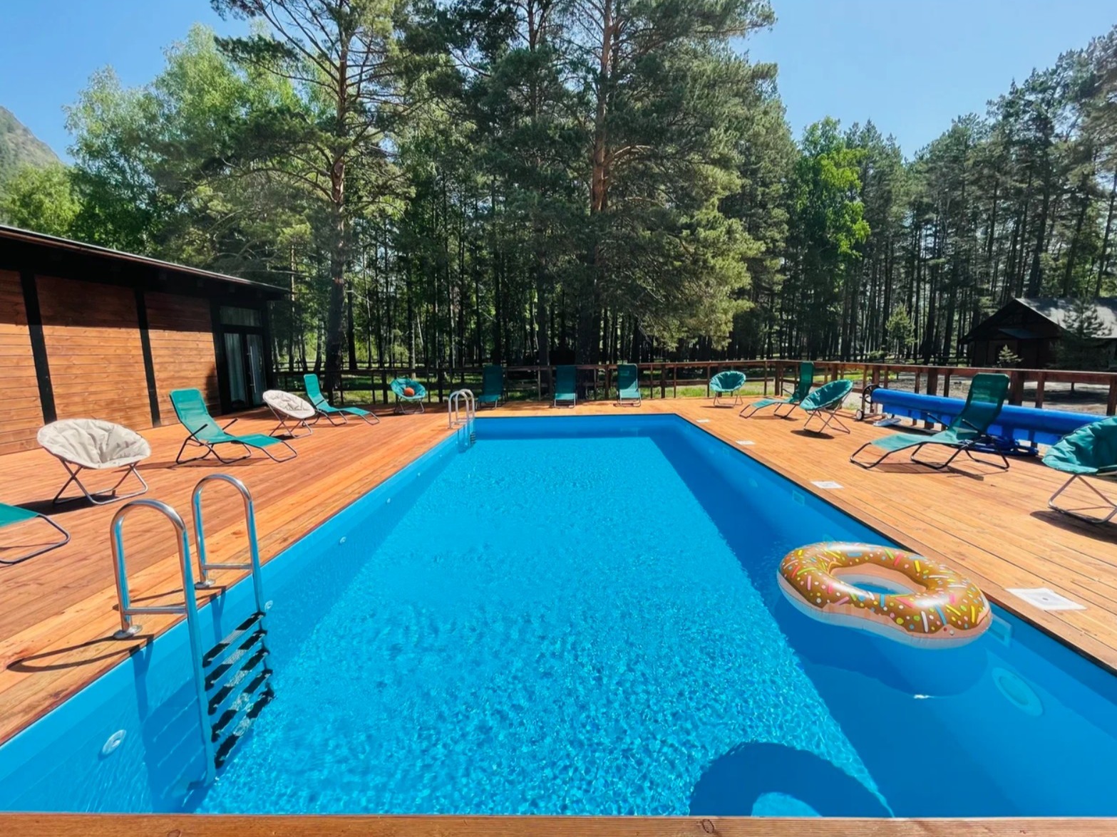 Шелест - фото 6