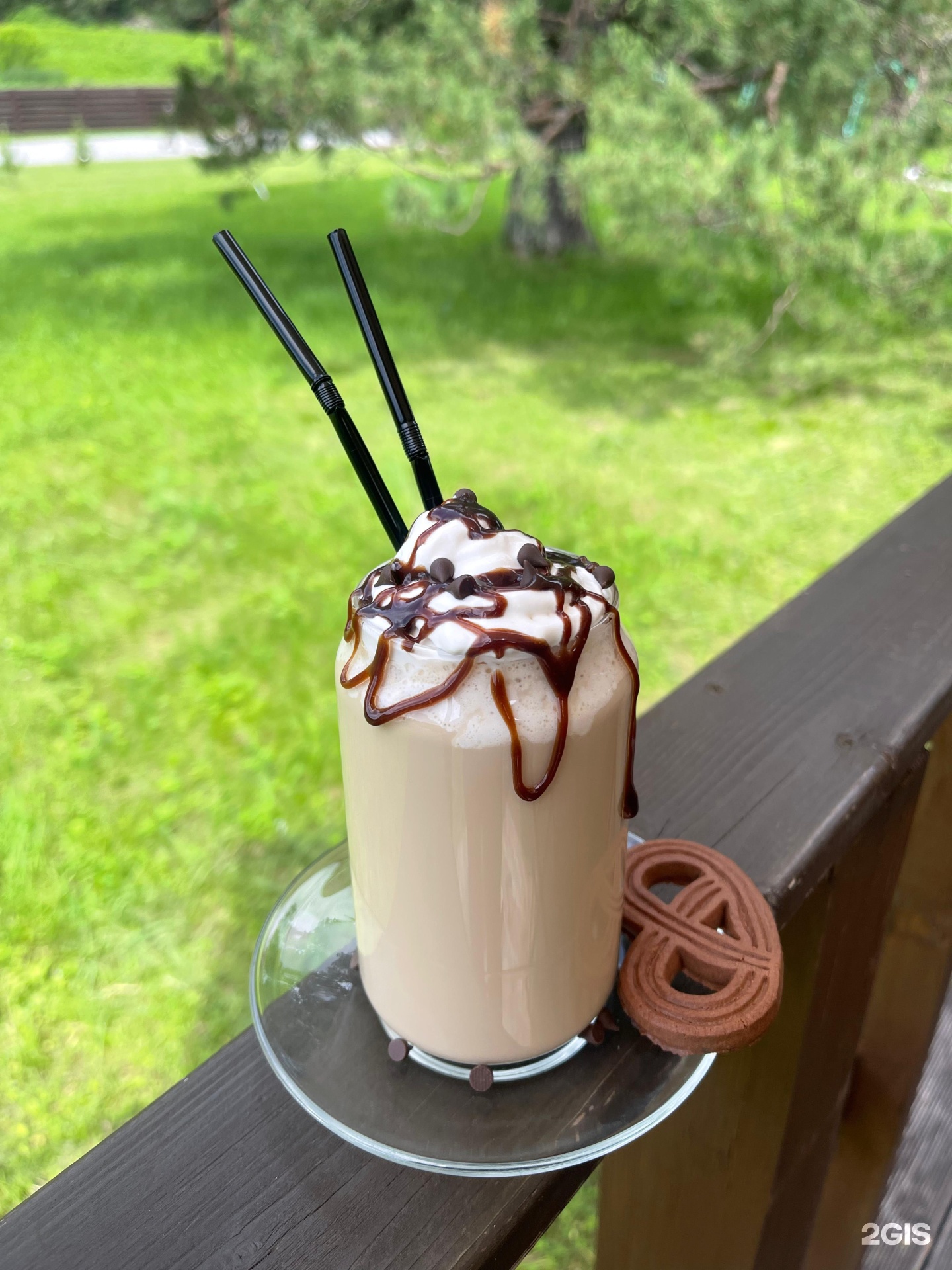 Шелест - фото 35