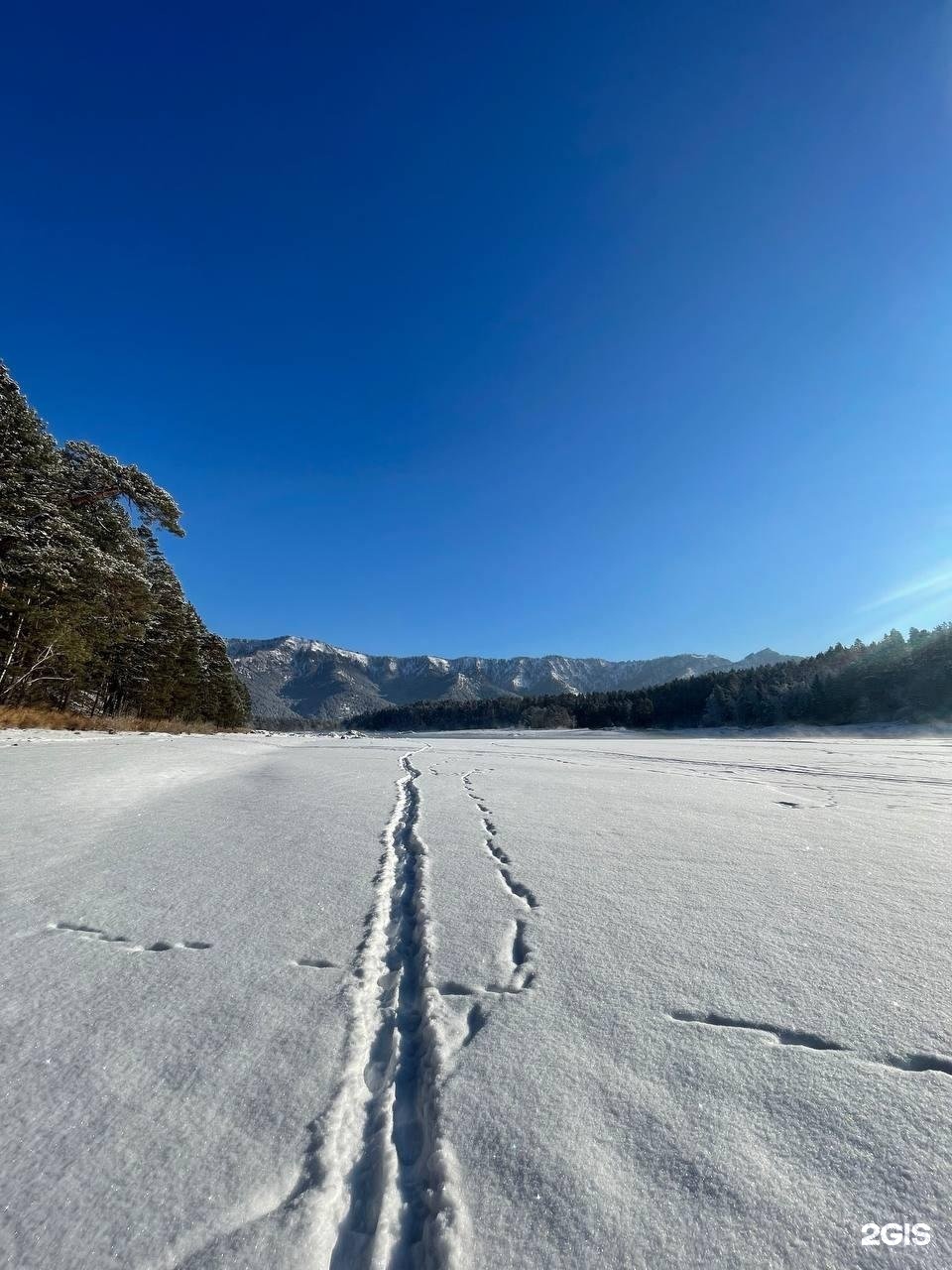 Шелест - фото 38