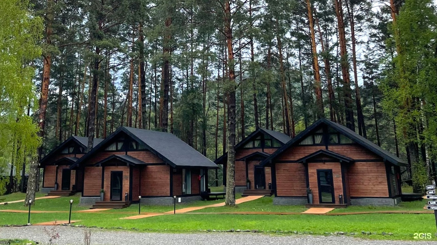 Шелест - фото 39