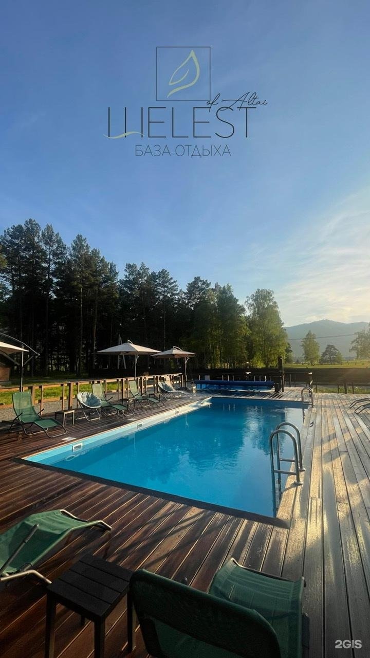 Шелест - фото 40