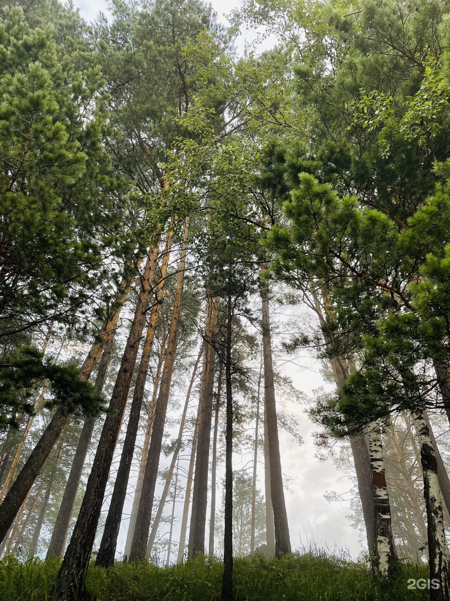 Шелест - фото 42