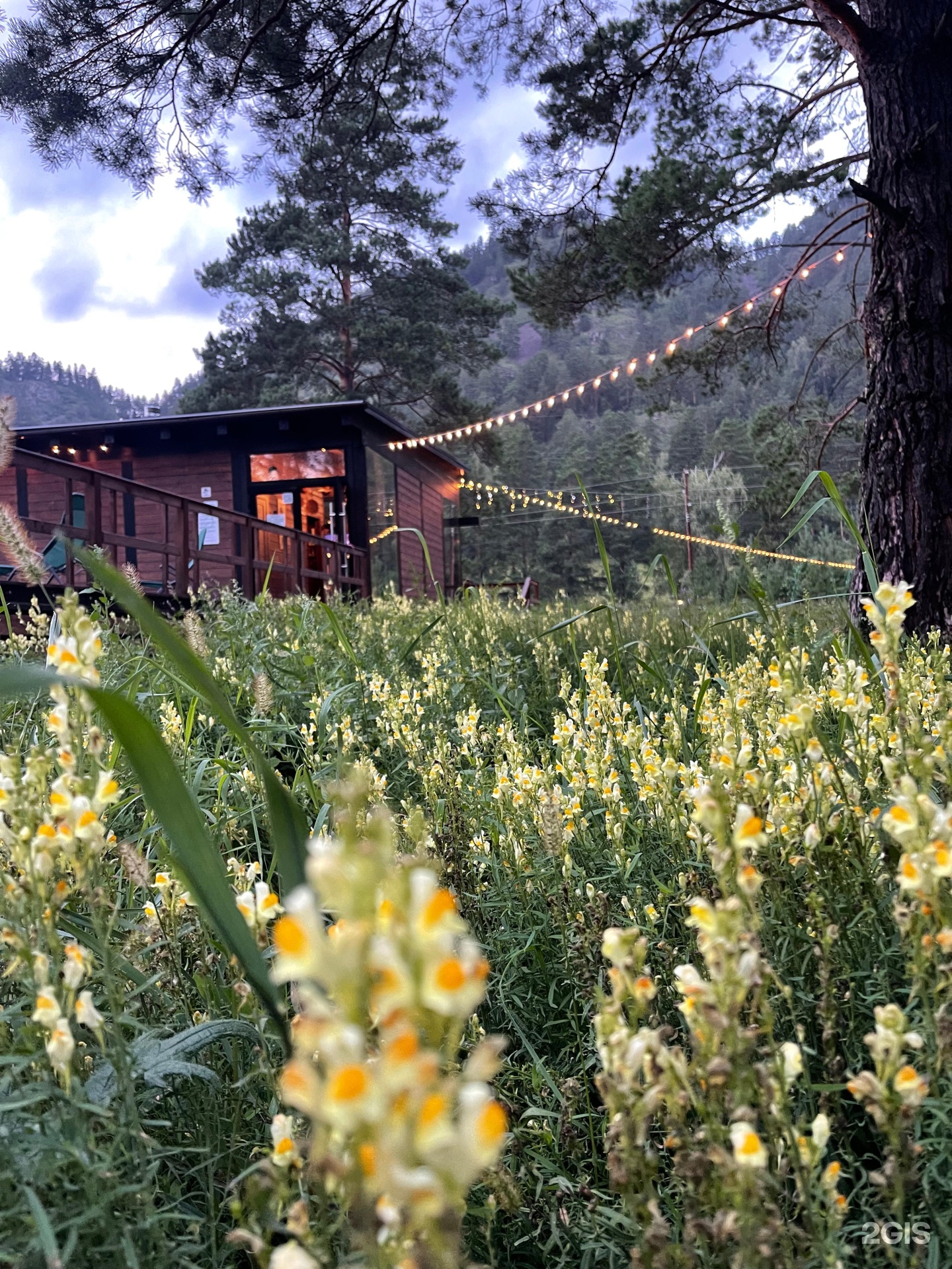 Шелест - фото 44