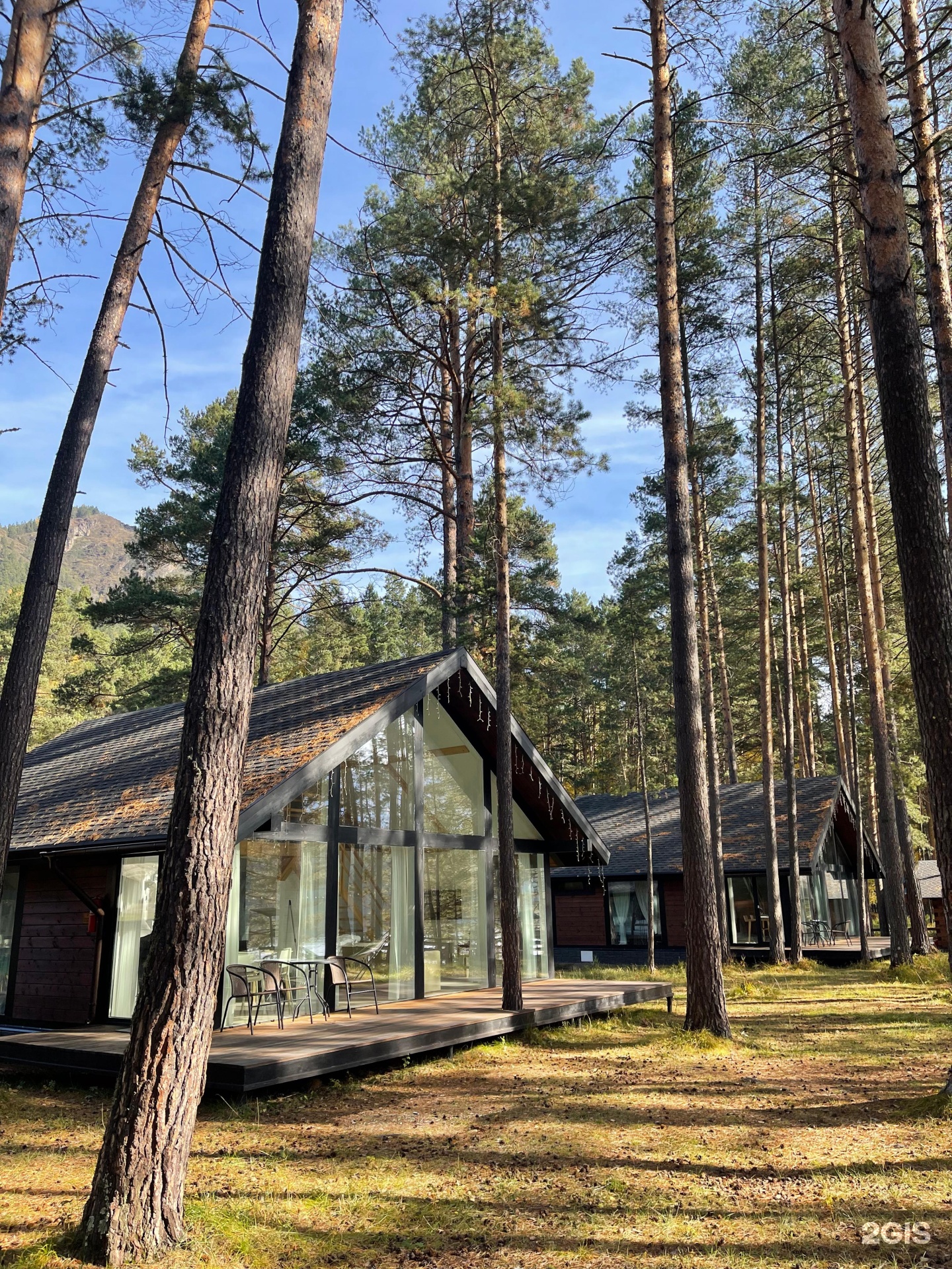 Шелест - фото 45