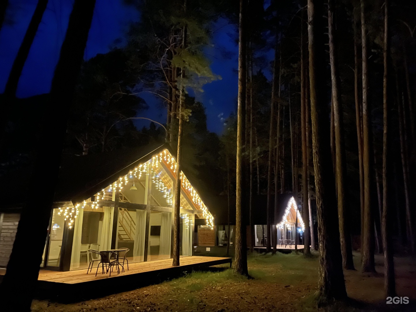 Шелест - фото 49