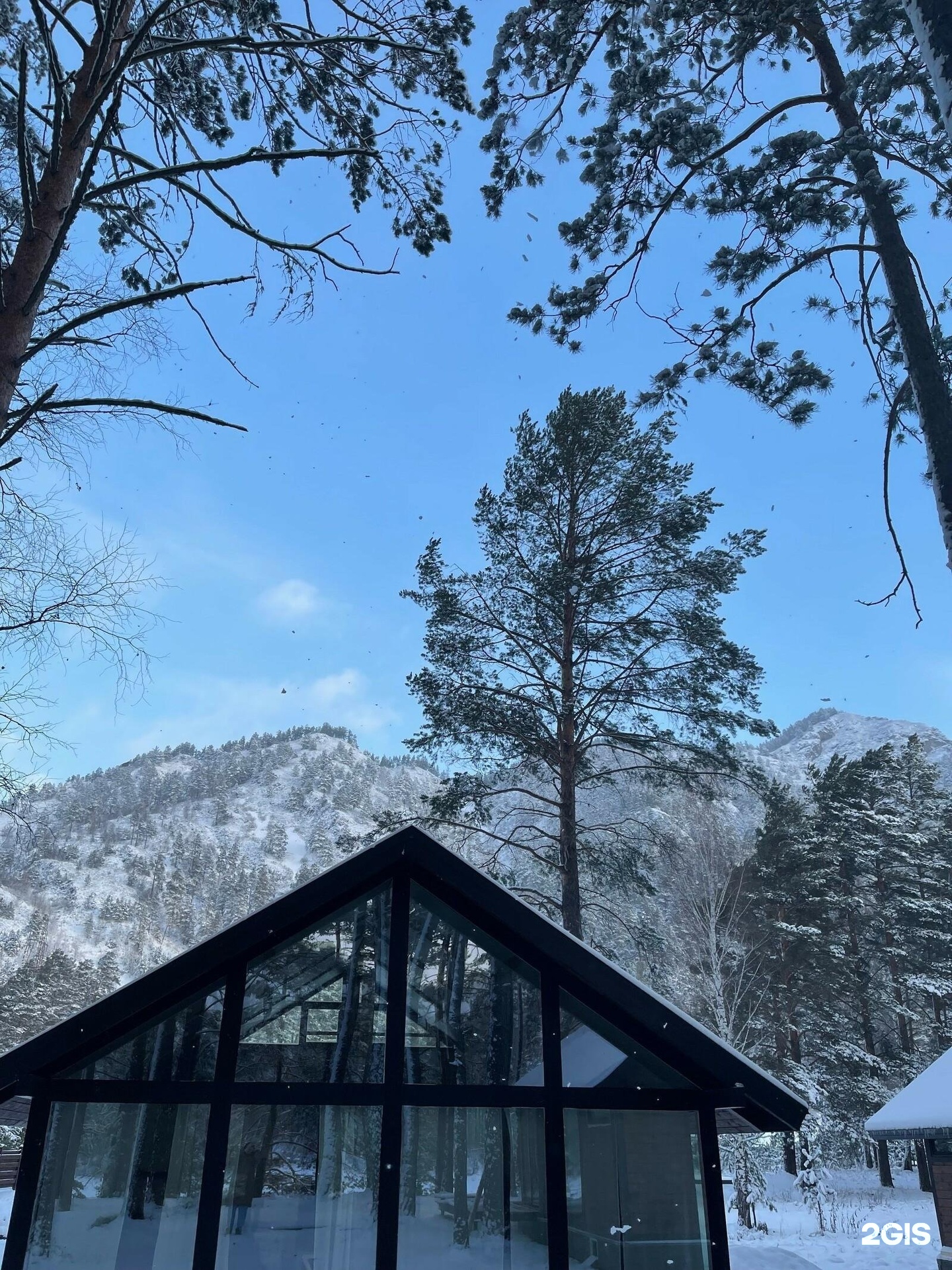 Шелест - фото 54