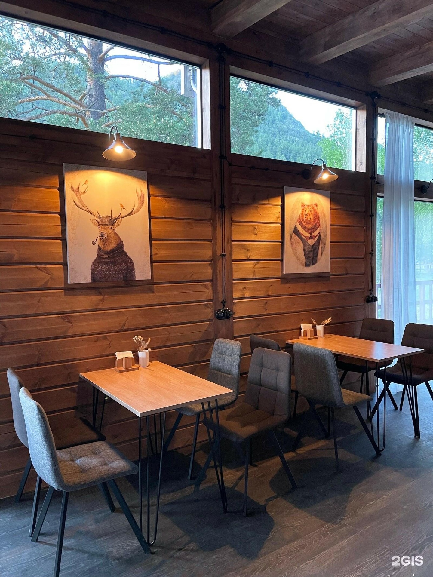 Шелест - фото 58