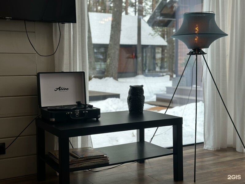 Дом Лесной - фото 2