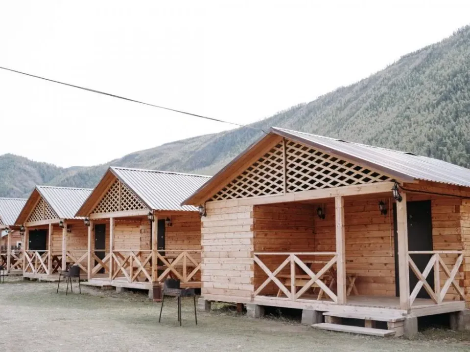 Алтайэкокедр - фото 2