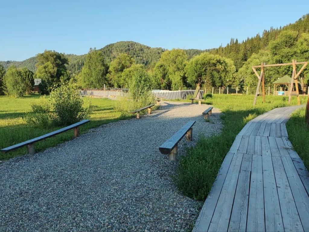 База отдыха ДОЛ «СОК «Кедровый» - фото 5