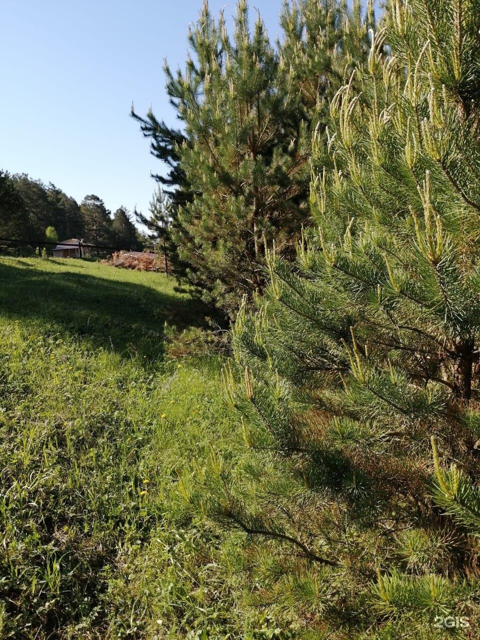 АртСвет - фото 80